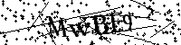 Default Alt Text