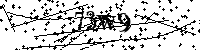 Default Alt Text