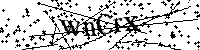 Default Alt Text