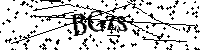Default Alt Text