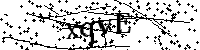 Default Alt Text