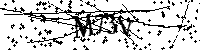 Default Alt Text