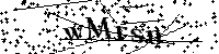 Default Alt Text
