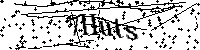 Default Alt Text