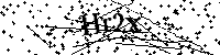 Default Alt Text