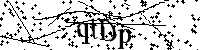 Default Alt Text
