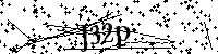 Default Alt Text