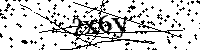 Default Alt Text