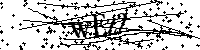 Default Alt Text