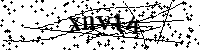 Default Alt Text