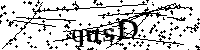 Default Alt Text