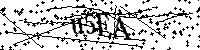 Default Alt Text