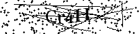 Default Alt Text