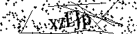 Default Alt Text