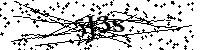 Default Alt Text