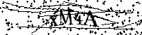 Default Alt Text