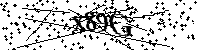 Default Alt Text