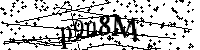 Default Alt Text