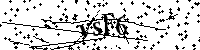 Default Alt Text