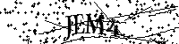 Default Alt Text