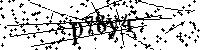 Default Alt Text