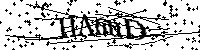 Default Alt Text