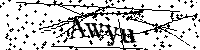 Default Alt Text