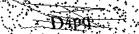 Default Alt Text