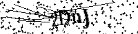 Default Alt Text
