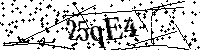 Please type the letters below