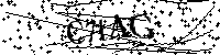 Default Alt Text