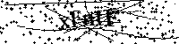 Default Alt Text