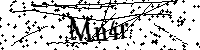 Default Alt Text