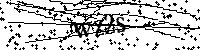 Default Alt Text
