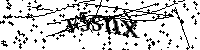 Default Alt Text