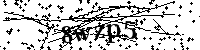 Default Alt Text