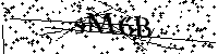 Default Alt Text
