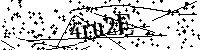 Default Alt Text
