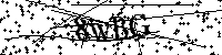 Default Alt Text