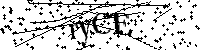 Default Alt Text