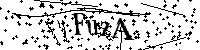 Default Alt Text